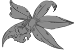 Kattaleya